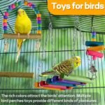 Bird Perch Parakeet Toys 14 PCS Natural Wood Toys, Bird Cage Accessories Parrot Hanging Cage Toy for Small Bird Conure Cockatiel Lovebird Budgie - Image 3