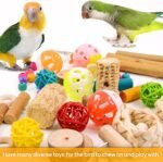 Bird Perch Parakeet Toys 14 PCS Natural Wood Toys, Bird Cage Accessories Parrot Hanging Cage Toy for Small Bird Conure Cockatiel Lovebird Budgie - Image 5