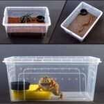 Reptile Small Snake Feeding Box Lizard Tarantula Habitat Cage Hatching Container Transparent Portable Plastic Mini Pet Houses for Scorpion Spider Frog - Image 3