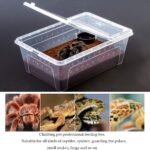 Reptile Small Snake Feeding Box Lizard Tarantula Habitat Cage Hatching Container Transparent Portable Plastic Mini Pet Houses for Scorpion Spider Frog - Image 4