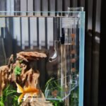 Shrimp Fish Feeding Dish, Aquarium -Sky Restaurant- Betta Feeding - Prevent Food Spilling, Fish Feeder, Also Easy to Clean Up The Food Left Over, African Feeding, Dwarf Frogs Feeding (M) - Image 5