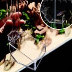 Shrimp Fish Feeding Dish, Aquarium -Sky Restaurant- Betta Feeding - Prevent Food Spilling, Fish Feeder, Also Easy to Clean Up The Food Left Over, African Feeding, Dwarf Frogs Feeding (M) - Image 9