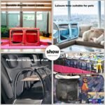 Mispace Portable Twin Compartment Show House Cat Cage/Condo - Easy to Fold & Carry Kennel - Comfy Puppy Home & Dog Travel Crate with Portable Carry Bag/Two Hammocks/Mats and Collapsible Litter Box - Image 10
