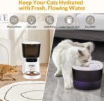Automatic Cat Feeder and Water Fountain, 4L/16 Cups Automatic Cat Food Dispenser,10s Meal Call and Timer Setting 20 Portions 6 Meals Per Day,Pet Feeder for Cat - Image 3