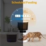 Automatic Cat Feeder and Water Fountain, 4L/16 Cups Automatic Cat Food Dispenser,10s Meal Call and Timer Setting 20 Portions 6 Meals Per Day,Pet Feeder for Cat - Image 4