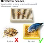 2Pcs Bird Foraging Toys Puzzle, Bird Slow Feeder Mats, Interactive Parrot Foraging Toys to Increase Feeding Time, Bird Enrichment Toys for Rat, Parakeet, Cockatiel, African Grey, Conure, Budgies - Image 3