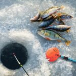 Sfcddtlg Adjustable Ice Fishing Skimmer Scoop- 33.4 Inch Winter Ice Fishing Scooper with Long Handle- Ice Fishing Gear for Scooping Out Ice While Fishing (Blue) - Image 6