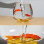 30ML Aquarium Clean Pipette Dropper, Manual Fish Feeder, Suitable for Brine Shrimps and Red Worms, Adjustable Amount of Water Absorbed, Prevent Overfeeding - Image 7