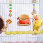 Bird Feeder Fruit Shape with Clamp Holder Cage-Pet Food & Water Bowl Parrot Food Box for Bird Macaw Budgie Parakeet Conure Lovebird Finch (Pomegranate Shape) - Image 3