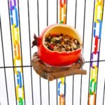 Bird Feeder Fruit Shape with Clamp Holder Cage-Pet Food & Water Bowl Parrot Food Box for Bird Macaw Budgie Parakeet Conure Lovebird Finch (Pomegranate Shape) - Image 7
