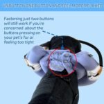 Blind Dog Harness, Lightweight Collar for Dogs&Cats, Adjustable Guiding Device Protects Pets from Collision, Builds Confidence, Blind Dog Accessories, Small Dogs, Purple (Neck: 7.1"-10.2") - Image 5