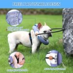 Blind Dog Harness, Lightweight Collar for Dogs&Cats, Adjustable Guiding Device Protects Pets from Collision, Builds Confidence, Blind Dog Accessories, Small Dogs, Purple (Neck: 7.1"-10.2") - Image 7