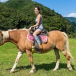 4 Pairs Funny Animal Knee Socks Novelty Animal Lovers Gifts Warm Horse Sloth Chicken Stockings for Women Men Girls (Cool Horse) - Image 6