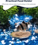 Pawfly 3 Pcs Shrimp Feeding Dish, Clear Glass Aquarium Shrimp Feeder Dish, Small Round Fish Tank Feeding Bowl, Fish Feeding Bowl, Transparent Food Bowl Tray for Fish Tanks and Terrariums - Image 3