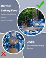 Pawfly 3 Pcs Shrimp Feeding Dish, Clear Glass Aquarium Shrimp Feeder Dish, Small Round Fish Tank Feeding Bowl, Fish Feeding Bowl, Transparent Food Bowl Tray for Fish Tanks and Terrariums - Image 4