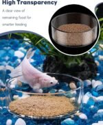 Pawfly 3 Pcs Shrimp Feeding Dish, Clear Glass Aquarium Shrimp Feeder Dish, Small Round Fish Tank Feeding Bowl, Fish Feeding Bowl, Transparent Food Bowl Tray for Fish Tanks and Terrariums - Image 6