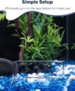 Pawfly 3 Pcs Shrimp Feeding Dish, Clear Glass Aquarium Shrimp Feeder Dish, Small Round Fish Tank Feeding Bowl, Fish Feeding Bowl, Transparent Food Bowl Tray for Fish Tanks and Terrariums - Image 7