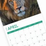 2025 Big Cats Monthly Wall Calendar by Bright Day, 12 x 12 Inch Cute Nature Photography Gift - Image 9