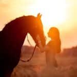 Horse/Axolotl Gifts for Girls Women, Charm Bracelet Horse Stuff Who Loved Horse/Axolotl Christmas Birthday Jewelry Gifts - Image 5