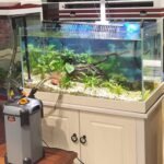 Canister Filter with 3 Media Trays Spray Bar External Canister Filter for Large Fish Tank and Aquariums, SF-650F-UV-171GPH - Image 6