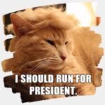 Pet Cat/Dog Blonde Wig with Tie - Iconic and Playful Toupee Hat, Cosplay Dress Up Clothing Costume Halloween Accessories (RedTie, M) - Image 3