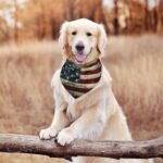 American Flag Vintage Dog Bandana Scarf Triangle Bibs Pet Accessories Cat Kerchief - Image 6