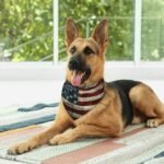 American Flag Vintage Dog Bandana Scarf Triangle Bibs Pet Accessories Cat Kerchief - Image 7