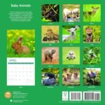 2025 Baby Animals Monthly Wall Calendar by Bright Day, Includes Over 300 Stickers, 12 x 12 Inch - Image 3