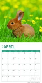 2025 Baby Animals Monthly Wall Calendar by Bright Day, Includes Over 300 Stickers, 12 x 12 Inch - Image 4