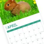 2025 Baby Animals Monthly Wall Calendar by Bright Day, Includes Over 300 Stickers, 12 x 12 Inch - Image 9