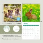2025 Baby Animals Monthly Wall Calendar by Bright Day, Includes Over 300 Stickers, 12 x 12 Inch - Image 10