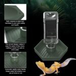 Reptile Water Dispenser-7.5 oz(250ml) Bearded Dragon Water Bowl - Small Water Dish for Tortoise - Bowls for Reptiles & Amphibians (S) - Image 5