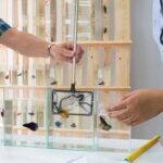 2 Pieces Fish Tank Net Aquarium Mesh Fish Net Long Handle Fish Net with Extendable 12.5-27.5 Inch Stainless Steel Catch Nets for Fish Tank Aquarium Accessories (4 Inch, 6 Inch) - Image 8