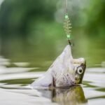 PATIKIL Luminous Spring Fishing Feeder, 20 Pcs Fishing Bait Cage Feeder Bait Holder Coarse Lure Feeder Carp Fishing Equipment - Image 7