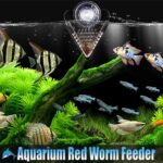 Aquarium Cone Red Worm Feeder Acrylic V-Shape Automatic Fish Feeder Brine Shrimp Food Feeding Cup with Suction Cup - Image 6
