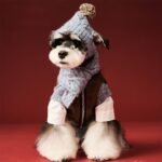 Dog Christmas Hat & Scarf Set for Small Dog Puppies Cats, Pet Woolen Hat Scarf Two Piece Set, Winter Warm Knitted Pet Hat Scarf Set, Autumn and Winter Accessories (Hat & Scarf) (Blue, Small) - Image 3