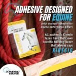 Kinesio Equine Tape - Tex Gold FP Horse Tape -Tape Made Specifically for Horses - 2”x 16’ Roll - Image 5