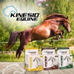 Kinesio Equine Tape - Tex Gold FP Horse Tape -Tape Made Specifically for Horses - 2”x 16’ Roll - Image 7