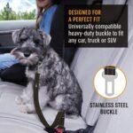 Active Pets Dog Car Harness - Pack of 1 Dog Seatbelts for Cars, Trucks, Travel - Tether Belt for Small & Large Dogs - Orange - Image 5