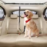 Truck Bed Dog Tether for Two Dogs,Ratchet Tightening Adjustable Double Safety Truck Bed Dog Leash System for Pickup, SUV, Cars & Trucks - Image 7