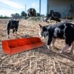 BESPORTBLE Pig Trough Feeder 5 Pig Feeder Trough: Plastic Piggy Food Dispenser for Fence, Hanging Livestock Farm Animal Feeding Bucket Waterer for Chick Goat Duck Horse Goose Goat - Image 9