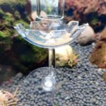 Shrimp Feeding Dish Seaweed Veggie Holder Clips Aquarium Accessories Fish Tank Feeder Kit (2Pack Feeding Dish+2Pack Seaweed Clips) - Image 3