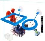 2 Pcs Fish Feeding Ring, Fish Safe Floating Food Feeder Circle Blue, with Suction Cup Easy to Install Aquarium, Square and Round Shape Fish Tank Towels - for Guppy, Betta, Goldfish, Etc. (Blue)¡­ - Image 2