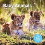 2025 Baby Animals Monthly Wall Calendar by Bright Day, Includes Over 300 Stickers, 12 x 12 Inch - Image 2
