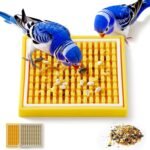 2Pcs Bird Foraging Toys Puzzle, Bird Slow Feeder Mats, Interactive Parrot Foraging Toys to Increase Feeding Time, Bird Enrichment Toys for Rat, Parakeet, Cockatiel, African Grey, Conure, Budgies - Image 2