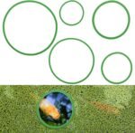 5Pcs Aquarium Floating Plant Corral, 5 Sizes of Aquarium Floating Plant Ring Round Aquarium Feeding Ring, for Keeping Floating Plants in Place, Fish Feeding Ring (Green) - Image 2