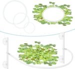 Aquarium Floating Plant Corral with Fish Feeding Ring, Floating Plant Fence for Aquarium Accessories, Separates Floating Plants, Auto-Adjusts Height with Water Level, Suitable for All Aquariums. - Image 2