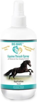Big Mare Horse Thrush Spray | Clinically Proven Effective On Thrush. No Sting, No Stain Formulation. Veterinary Approved & Recommended. - Image 2