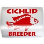 CICHLID BREEDER Fish - PICK COLOR & SIZE - Aquarium Cichlids Keeper Breeder Vinyl Decal Sticker D - Image 2