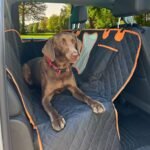 Dog Car Seat Cover for Back Seat for XL Cars, SUVs & Trucks - Durable Car Cover Protector for Dogs, Waterproof Scratchproof, Nonslip Backseat Dog Hammock (Bone) - Image 2